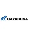 Hayabusa